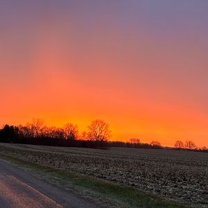 Meet your Posher, My